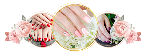 DC NAILS & SPA Inc in Greenacres, FL 33463